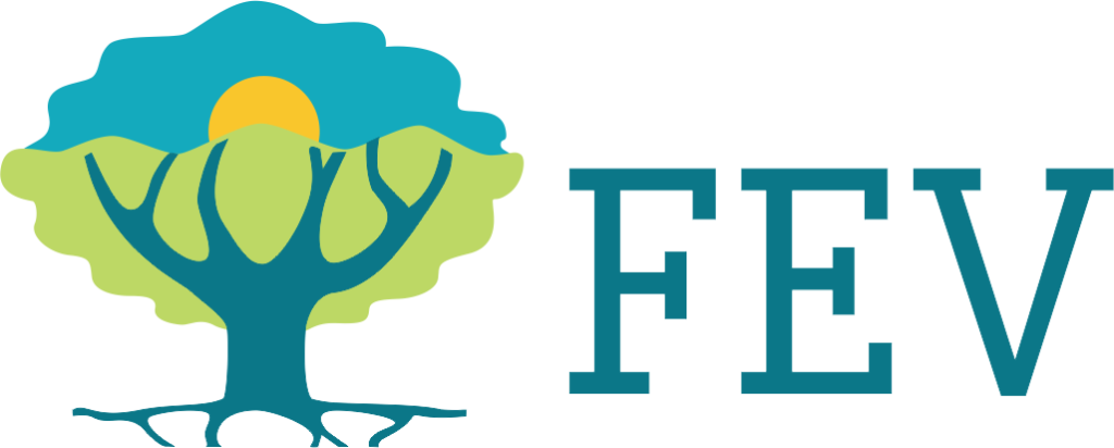 ㅤQuienes somos - FEV